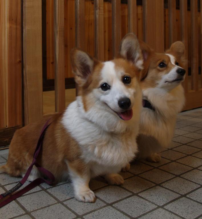 Tabataya Hotel Myoko Luaran gambar